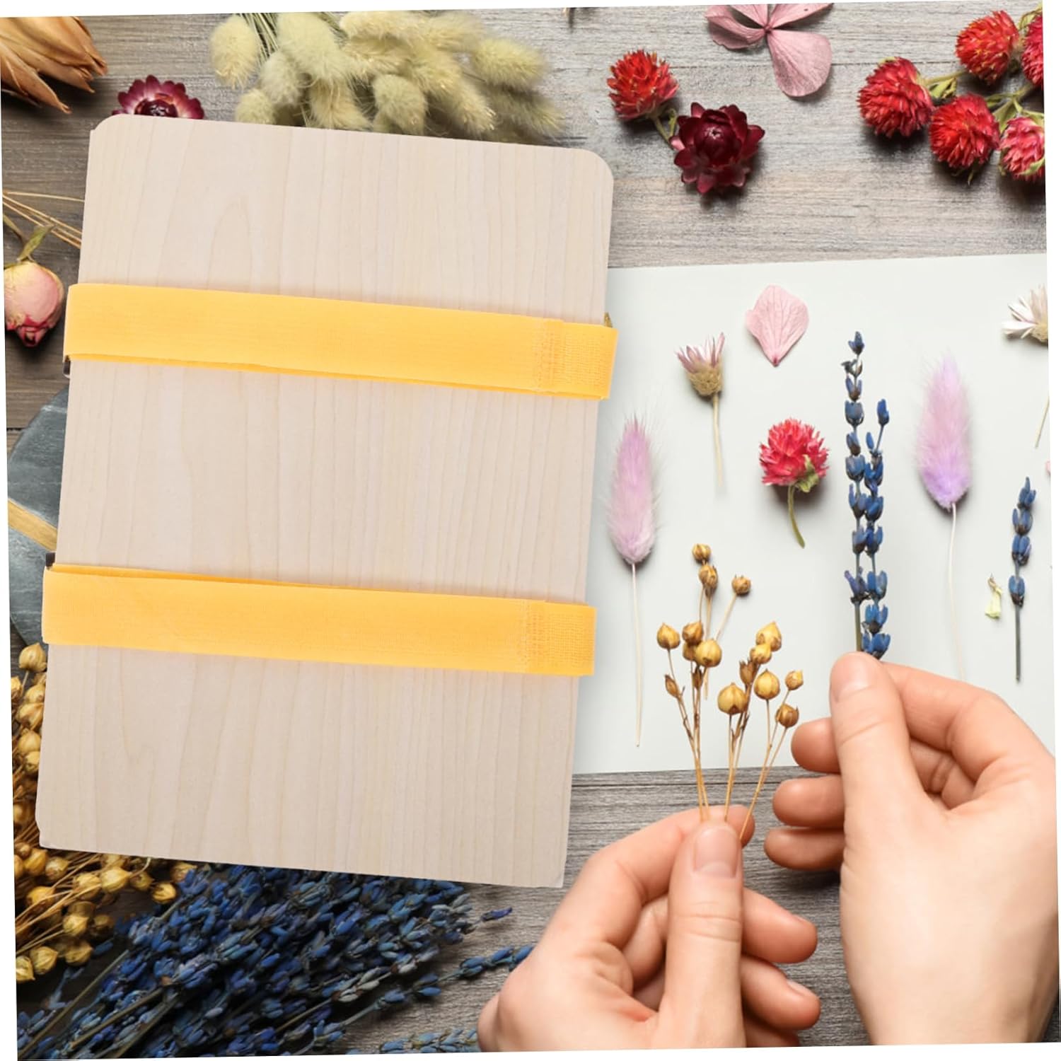 OHPHCALL 1set Flower Pressing Kit of Tools for Crafting Pressed Flowers for Scrapbooking Home Decor for Plant Includes Accessories for Multiple Layers