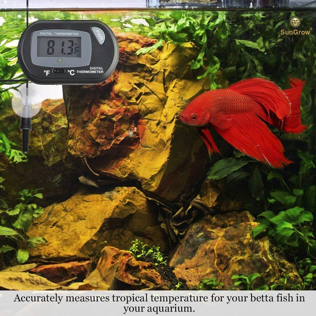 SunGrow LCD Digital Betta Thermometer, 2.3x1.5 Inches, Accurately Reads Tank Water Temperature, Maintains Betta's Native Habitat, Comes with 2 Suction Cups and Battery