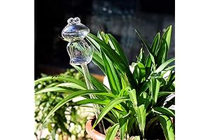 ChezMax Frog Shaped Plant Water Dispenser