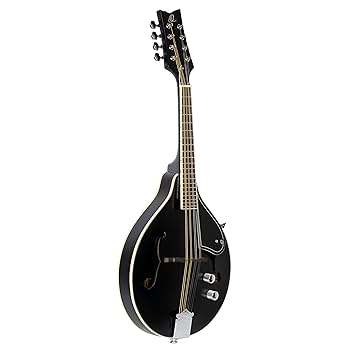 Hora Mandolin Port.1 フラット マンドリン Hora Mandolin Port.1 フラット マンドリン - メルカリ