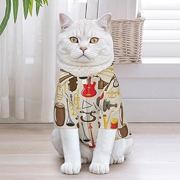 プリマシェレル dog wear ツイード&ベルベットリボン ベロアカットソー 楽天市場】【楽天1位】小中型犬服 犬洋服 ペット服 ペットウェア