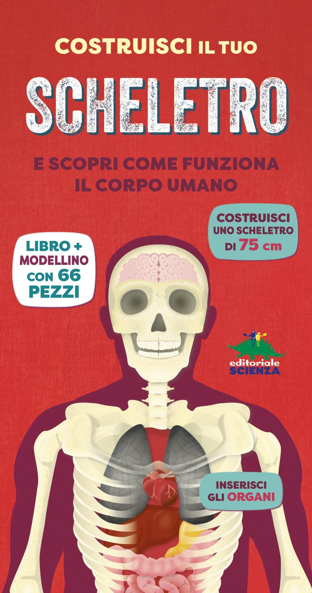 Costruisci il tuo scheletro e scopri come funziona il corpo umano. Ediz. a colori. Con modellino da costruire