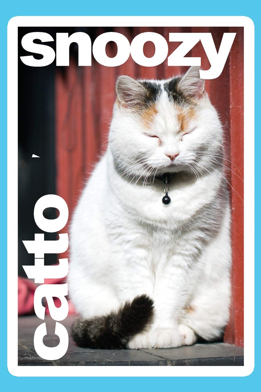 Snoozy Catto Kawaii Cat Daily Journal Notebook College Ruled 100 Pages: 6 X 9 (15.24 X 22.86 CM) Daily Diary Lined Sketchbook