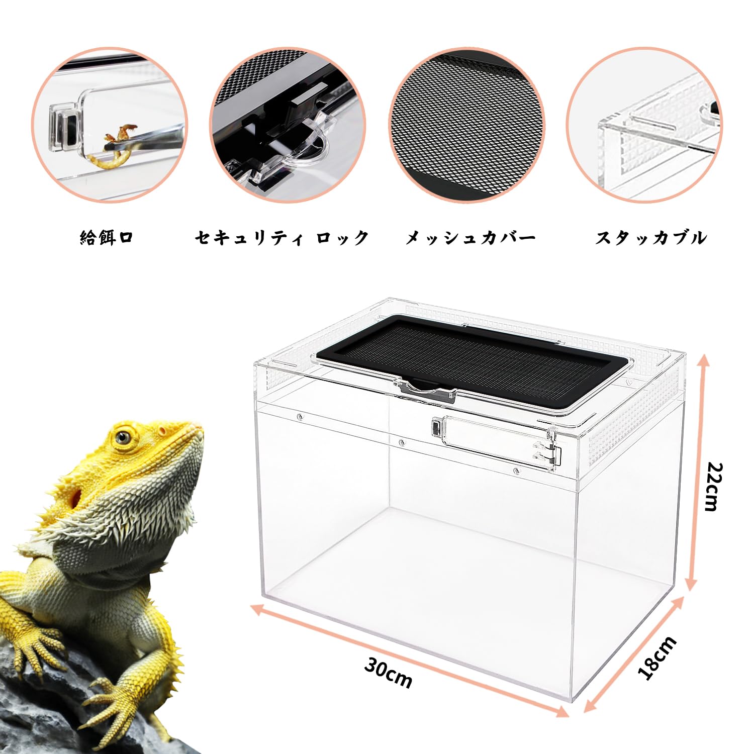 Arion Black Level contents 飼育ケージ ことみ ブラックレベルコンテンツ Black Level-Contents アリオン 販売 通販