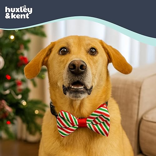 Miniatura 4 de Huxley & Kent Pajarita para mascotas  Rayas de menta (grande)  Accesorio de lazo de velcro para Navidad  Divertidas pajaritas para perros y gatos