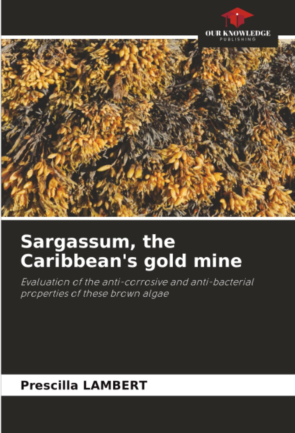 Sargassum, the Caribbean's gold mine: Evaluation of the anti-corrosive and anti-bacterial properties of these brown algae