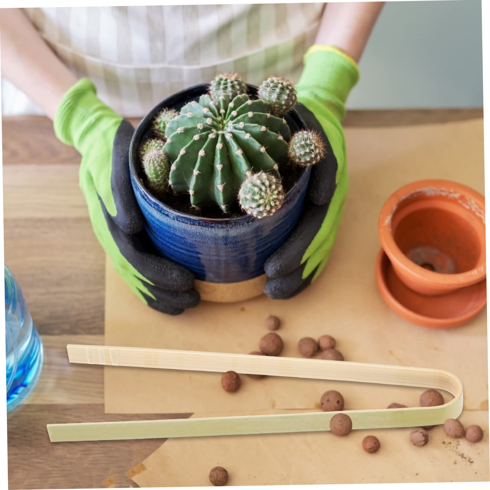 MOLUCKFU Lot De 10 Pinces à Cactus En Bambou - Outils Pour Plantes Succulentes Et Transplantation