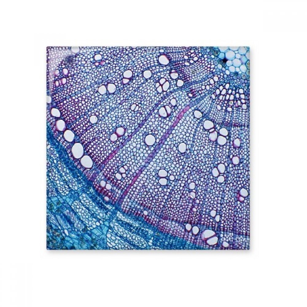 Cadeau craft carrelage céramique bleu brillant motif science pour passionnés