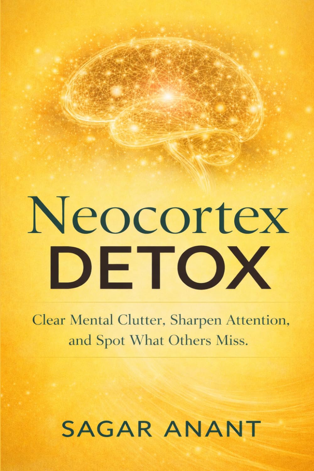 Neocortex Detox: Clear Mental Clutter, Sharpen Attention, and Spot What Others Miss