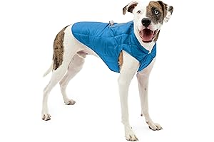 Kurgo Loft Dog Jacket - The Perfect Winter Coat for Your Dog!