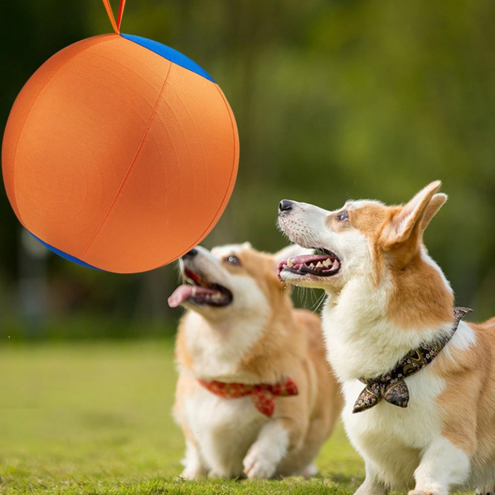 Pelota de pastoreo para perros, pelota calmante con asa de cubierta, pelota de entrenamiento inflable para razas grandes, perros pequeños y medianos, juego activo