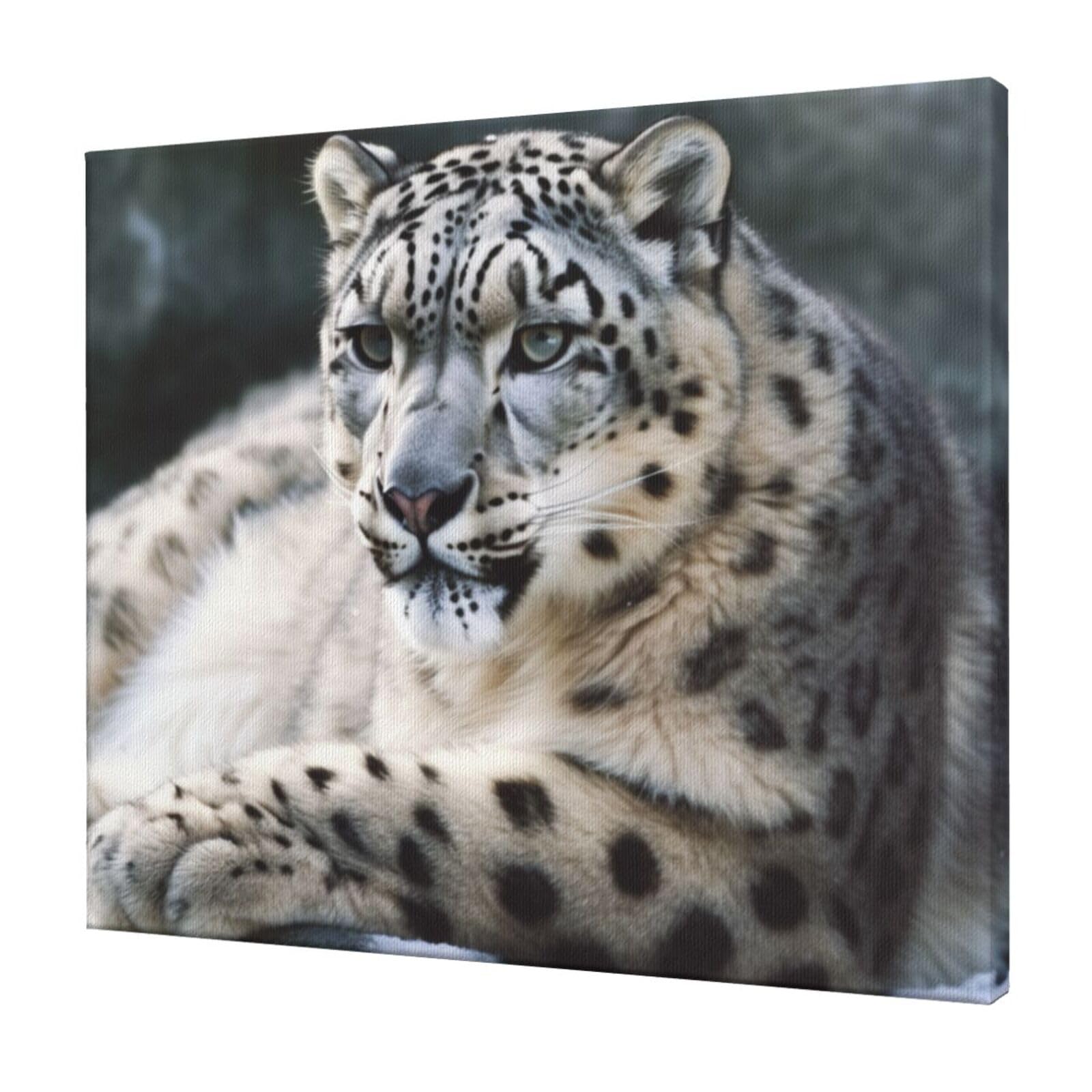 FodPand Snow Leopard Canvas Wall Art for Living Room Wall Decor 20"x24" Modern Artwork Painting Pictures Hanging Canvas Prints Aesthetic Wall Art for Bedroom Bathroom Office Wallart Decor