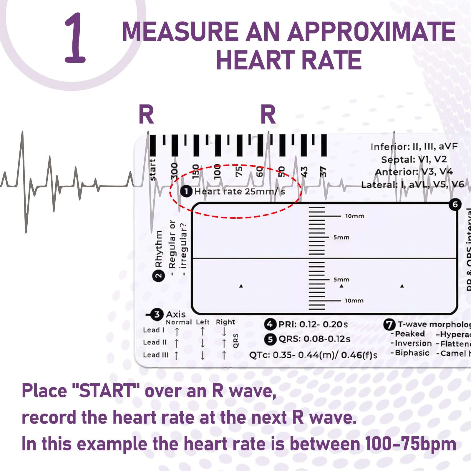 Ecg 7 Step Ruler Ecg/Ekg Interpretation Tool Ecg Pocket Card ...