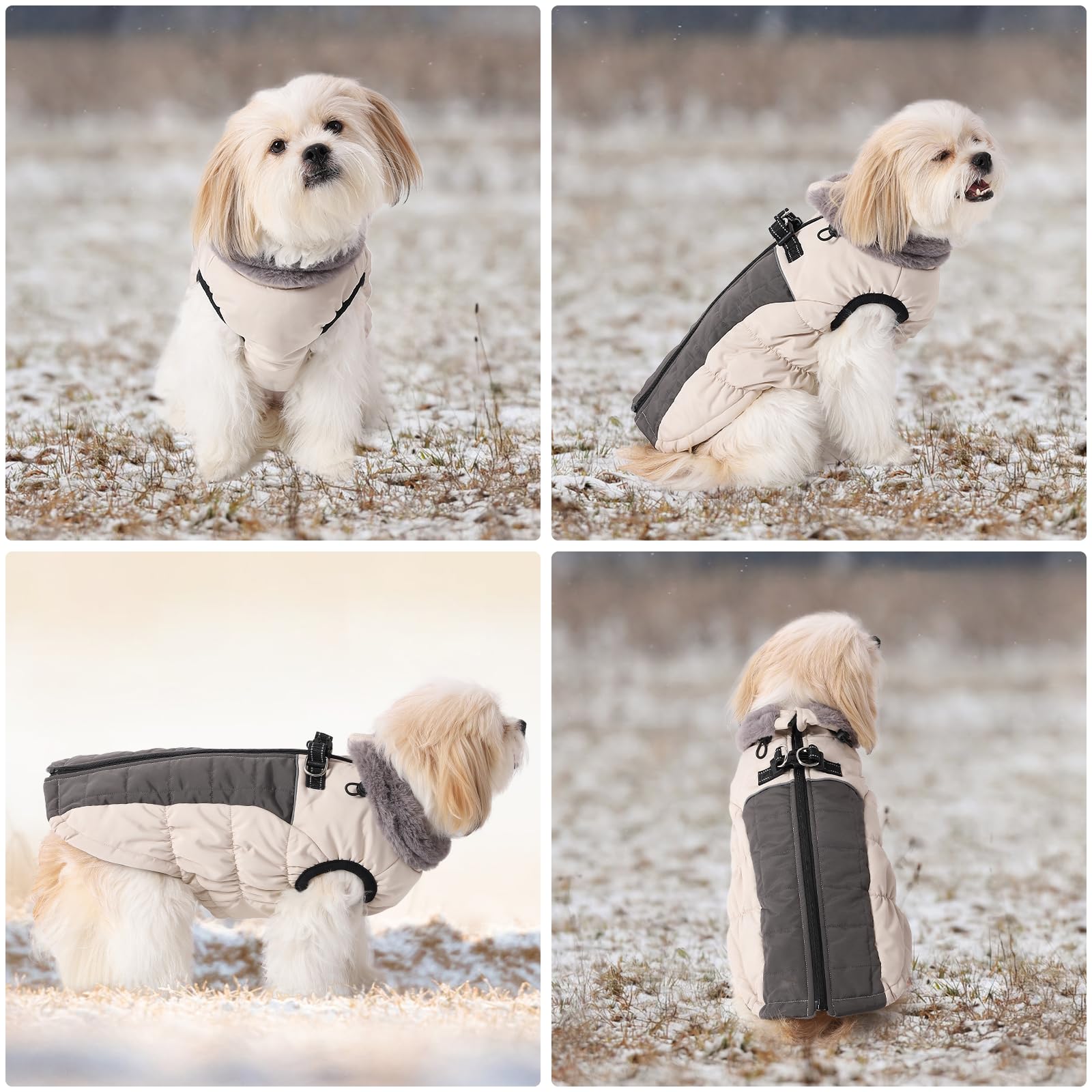 Savlot Hundejacken für den Winter Winddicht Wasserdicht 2 in 1 Outfit Kaltwettermantel Hundewestengeschirr Welpen Winter Warme Jacke Kleines (XL, Weiß)