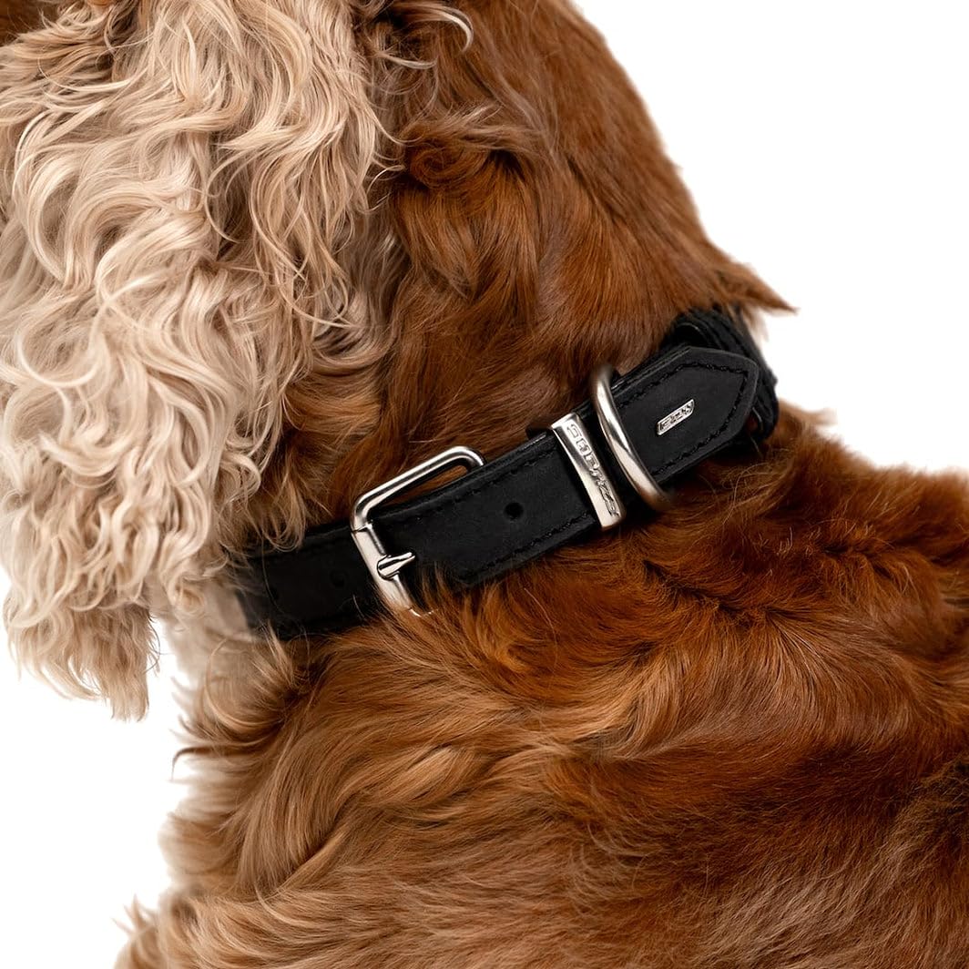 EzyDog Oxford Collier en cuir de qualité supérieure pour chiens de petite et grande taille en cuir naturel, réglable et rembourré (M, noir)