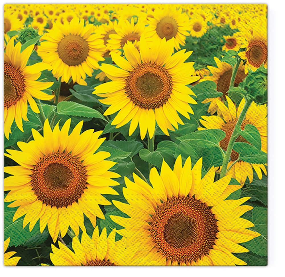 Tete a Tete 3Ply Flowery Tissue Paper Napkins Decoupage Serviettes 33cm x 33cm - 1/4 Folded (Pack of 20) (Botanical Memories) — view 28