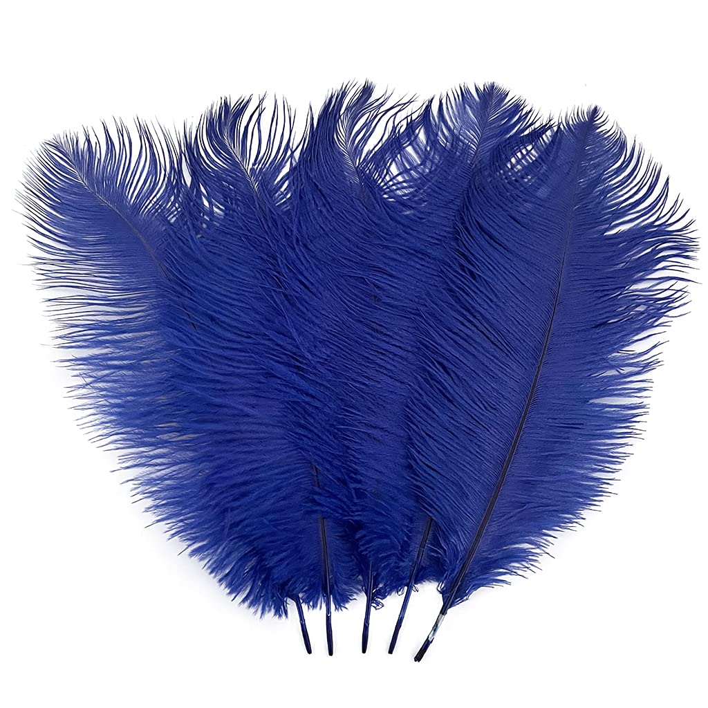 LONDGEN 10PCS Ostrich Feather 12-14 inch(30-35cm) Plumes for Party Wedding Centerpiece Festival Vases Decoration(Royal Blue) — image 1