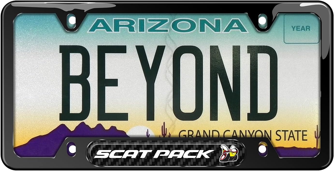 iPick Image Compatible with Dodge Scat-Pack Full Color Real Carbon Fiber Insert Black 50 States Stainless Steel License Plate Frame