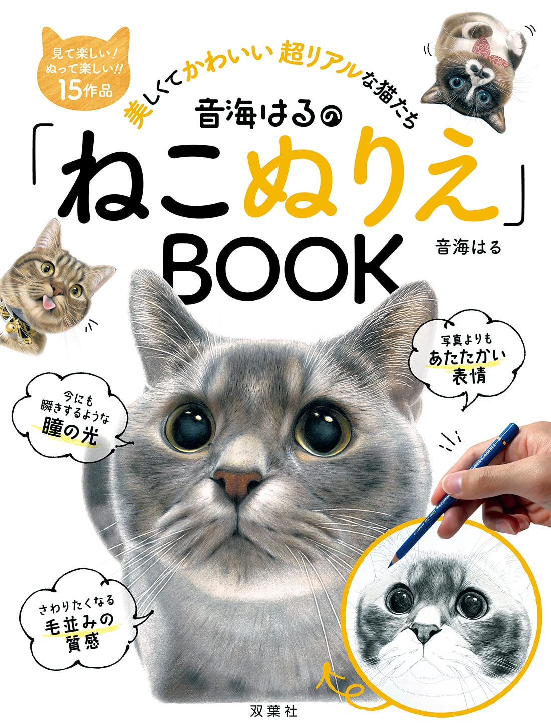 音海はるの ねこぬりえ Book 音海 はる 本 通販 Amazon