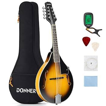 Gibson サンバースト マンドリン 本体 Gibson サンバースト マンドリン 本体 楽天市場】Gibson