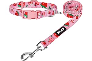 azuza Petite Pink Dog Collar and Leash Set: Perfect for Small Dog Breeds