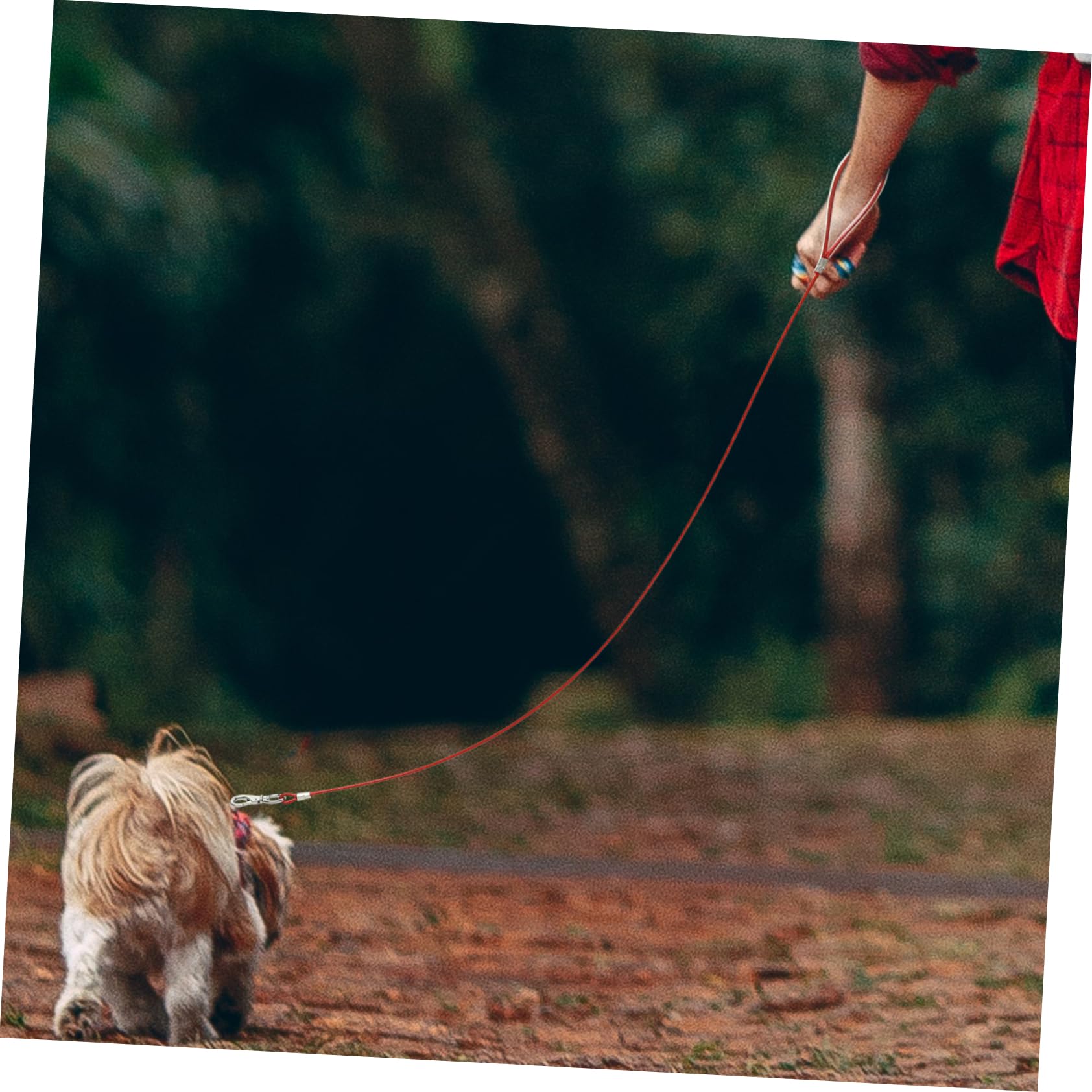 Sosoport 4pezzi Guinzaglio Per Cani Acciaio Resistente Agli Strappi Antimasticabile Accessorio Sicuro Per Passeggiate Quotidiane e Attività All Aperto