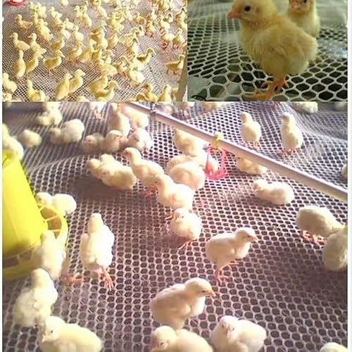 Miniatura 7 de Malla de alambre de plástico blanco de 15.7 pulgadas x 10 pies, malla hexagonal de plástico para pollo, valla de malla de plástico mejorada para