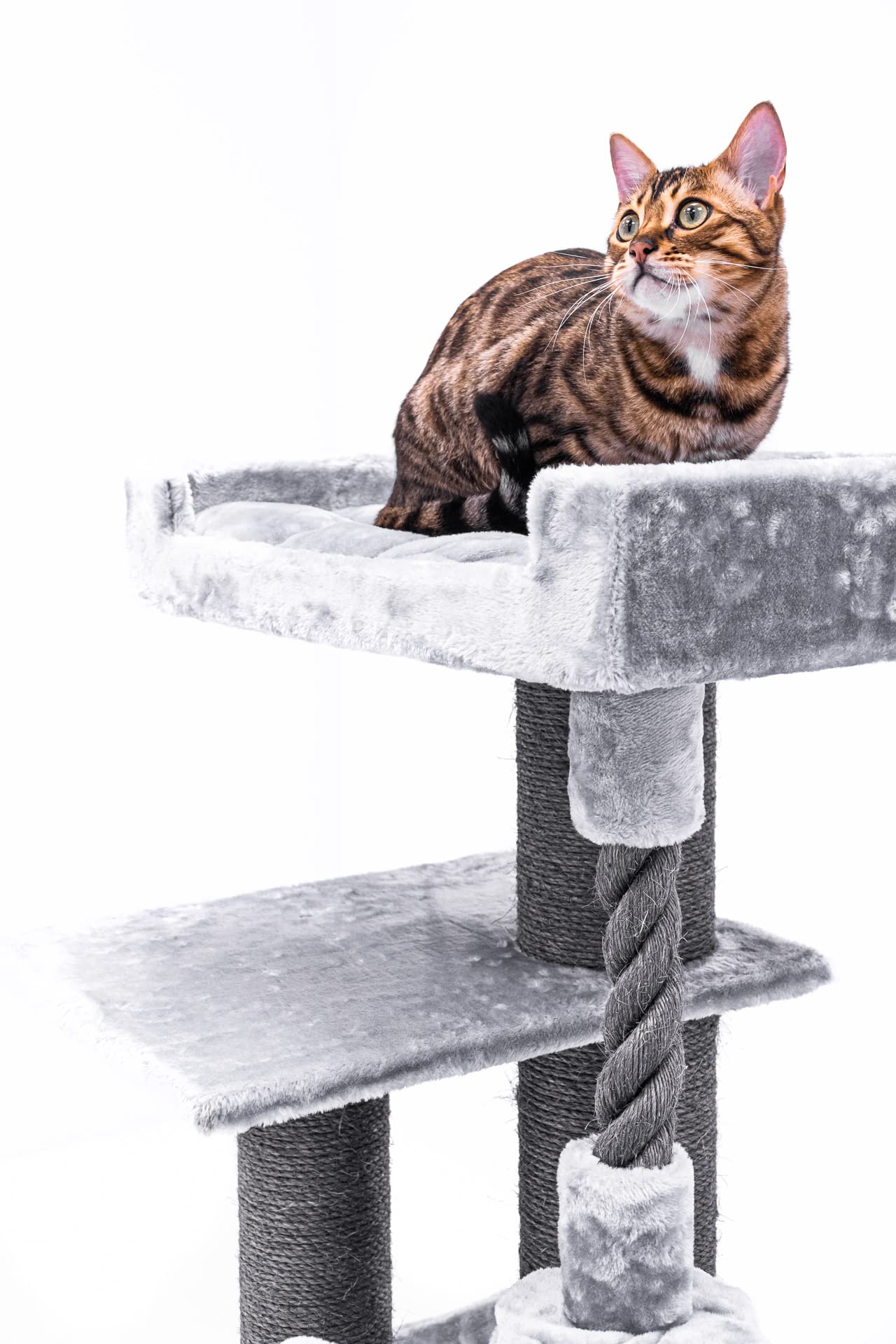 Petrebels Arbre à Chat Parklane 131 cm, Couleur Gris, Design Arbre à Chat avec Hamac
