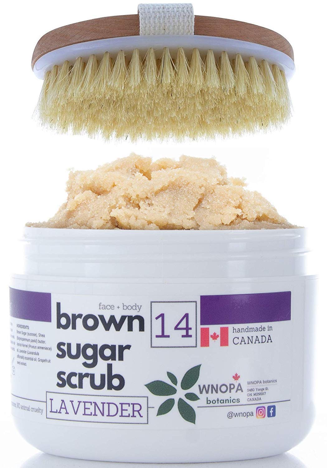Sugar Scrub Body Exfoliator + Dry Brushing Body Brush - French Lavender Face Body Exfoliating Scrub with 100% Natural Botanics - Handmade in Canada - 10 oz + Body Scrub Brush (Lavender)