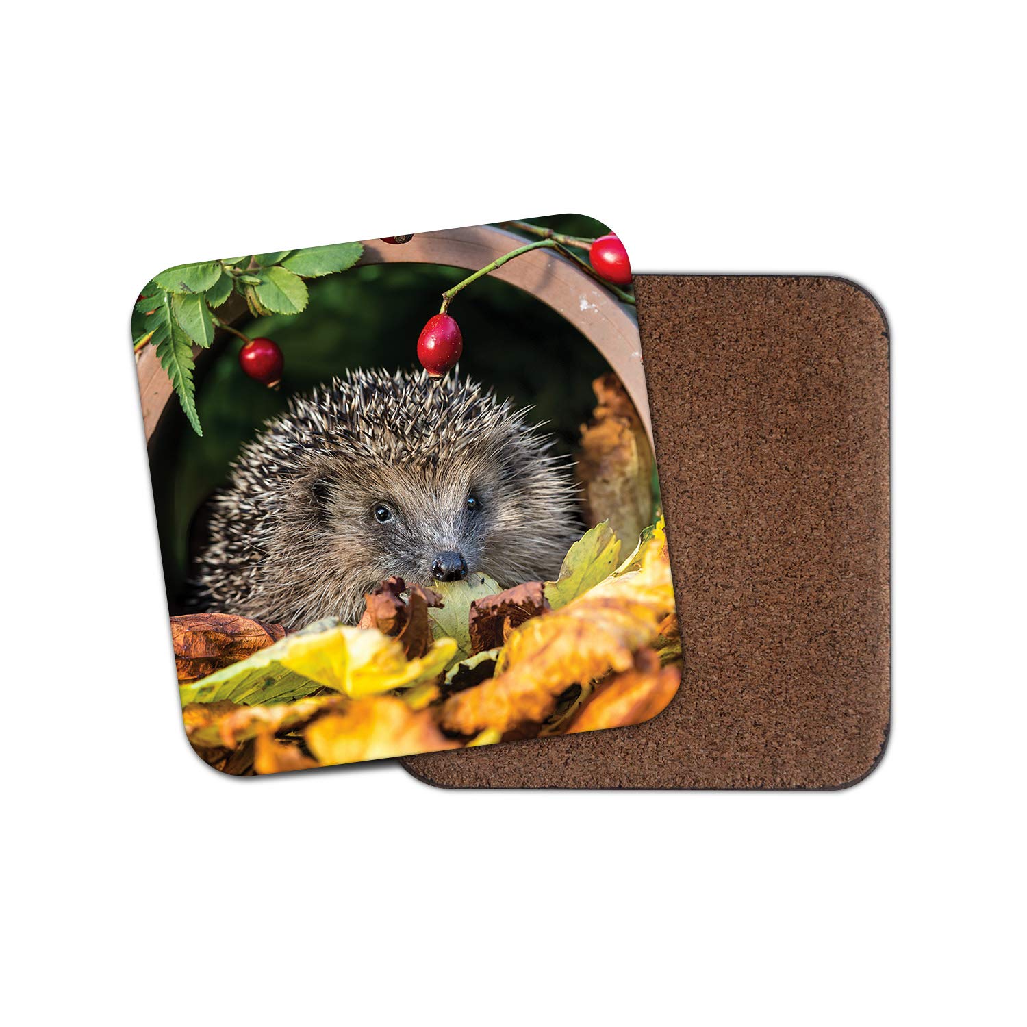 Destinationvinyl Multicolor 1 X Adorable Hedgehog Coaster - Garden Animal Mum Auntie Wildlife #13045