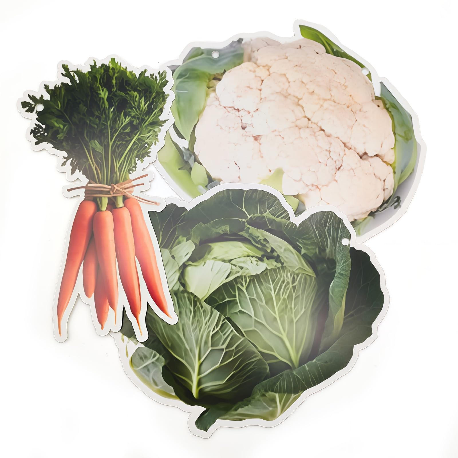 ping pong balls 12Pcs Vegetable Garden Bunting Cabbage Carrot and Cauliflower Motifs Vegetable Garden-Themed Party Decorations Suitable for Celebrations Harvest Festivals Party Decorations - Image 3
