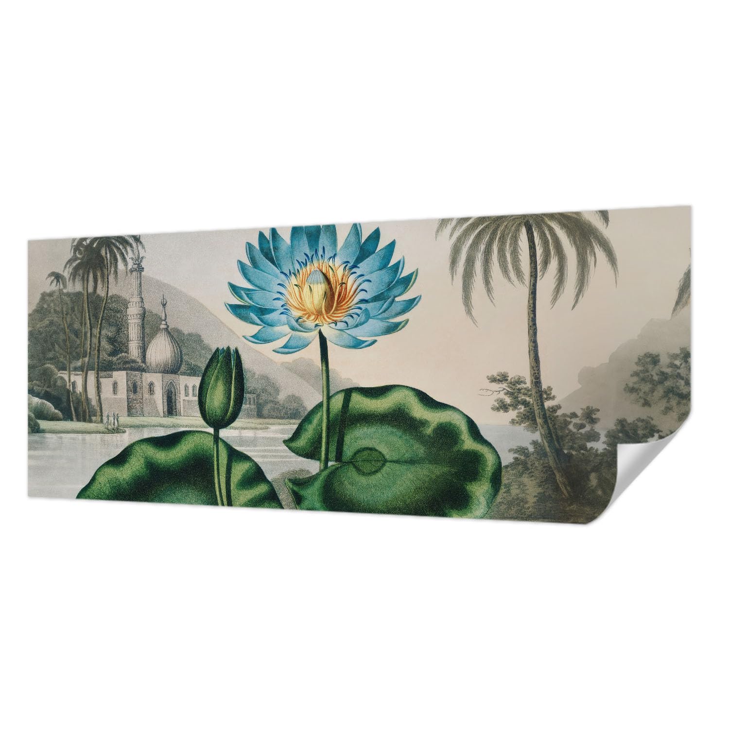 Panoramique haute qualité paysage exotique décor mural adhésif