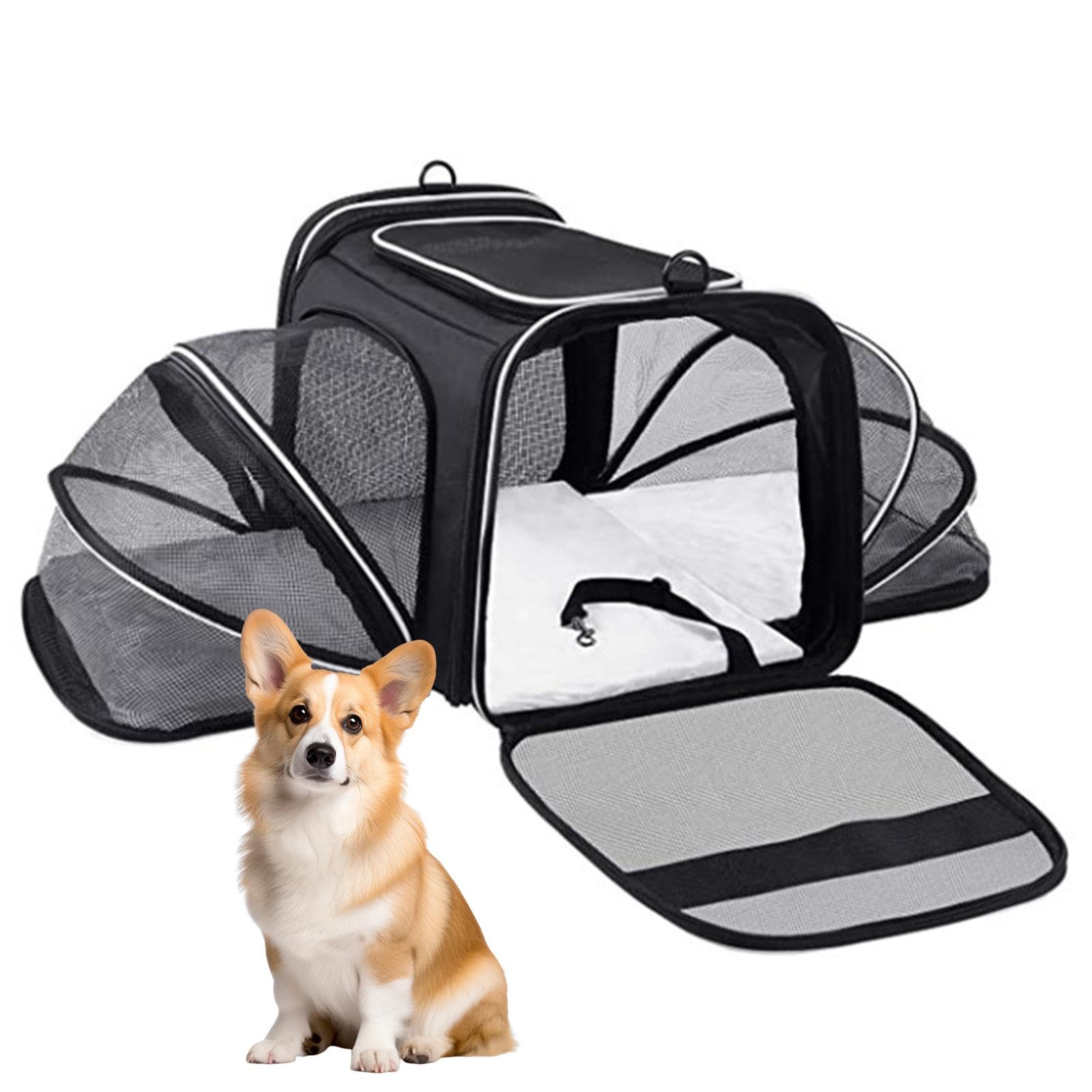 Mochila de viaje para gatos y perros que asegura paseos felices y total bienestar