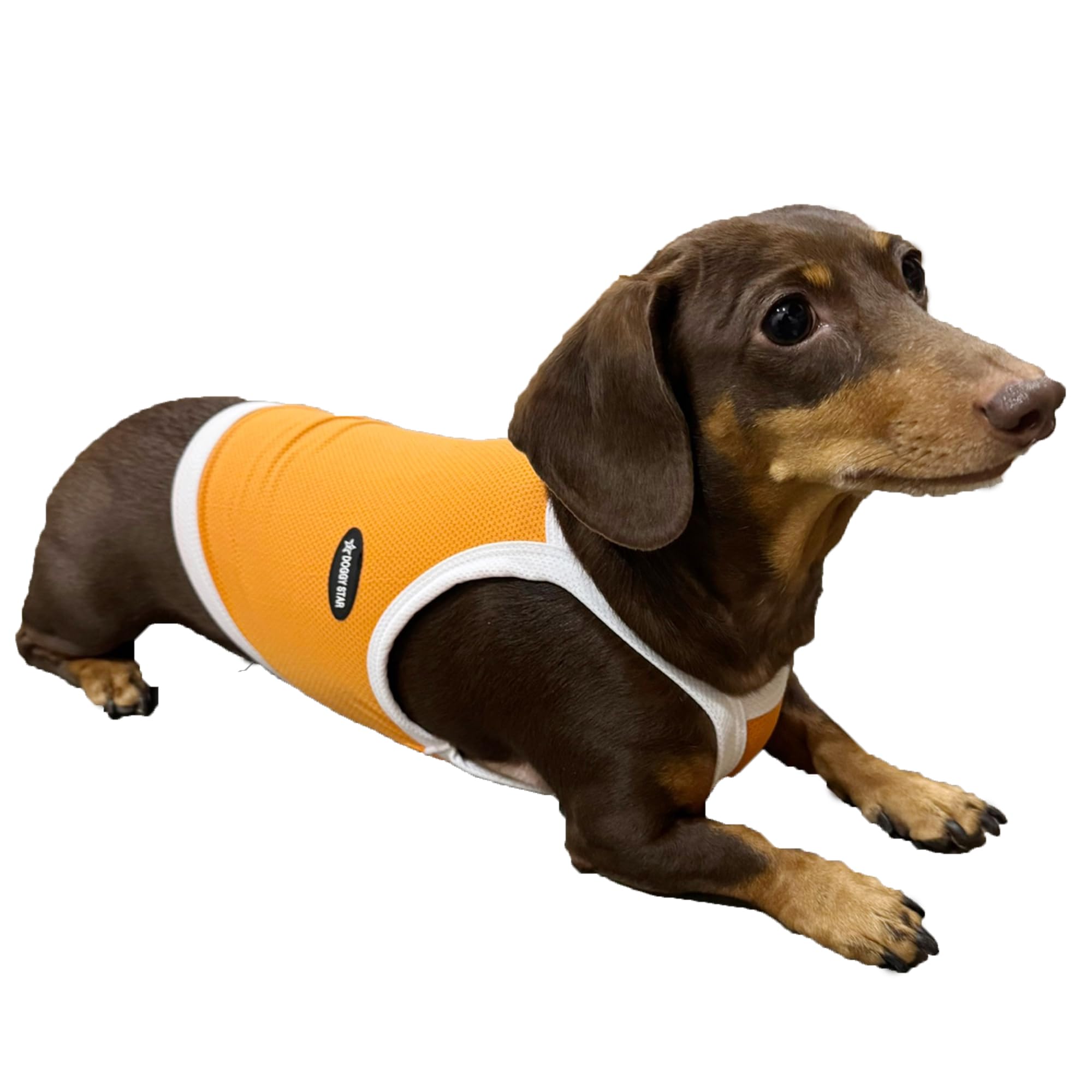 D Doggy Star Dachshund Clothes Spring Summer Cooling String T Shirt Crop Top for Dogs (M,Camisole Orange)
