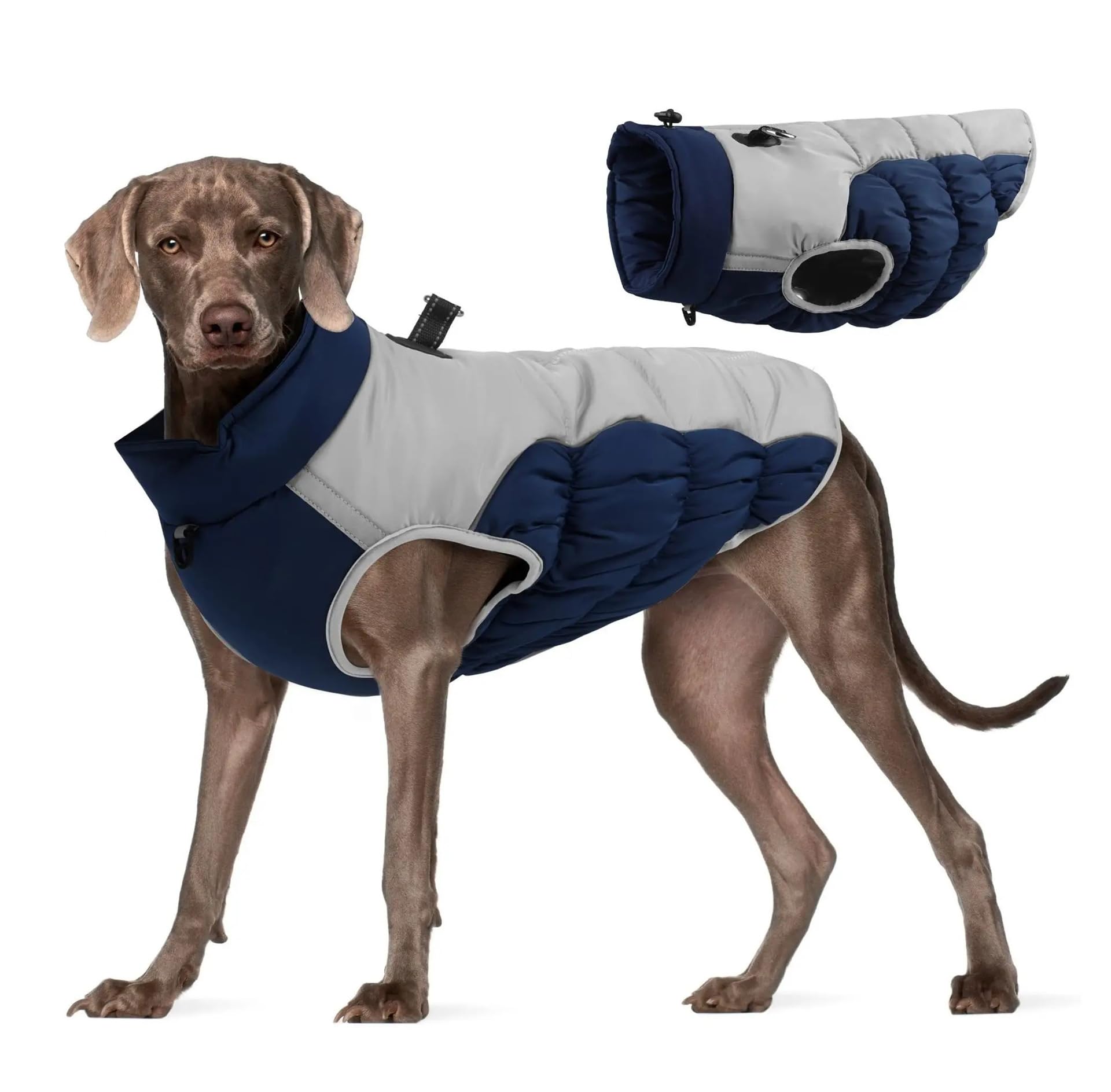 Manteau imperméable pour chien de taille moyenne et grande contre le froid
