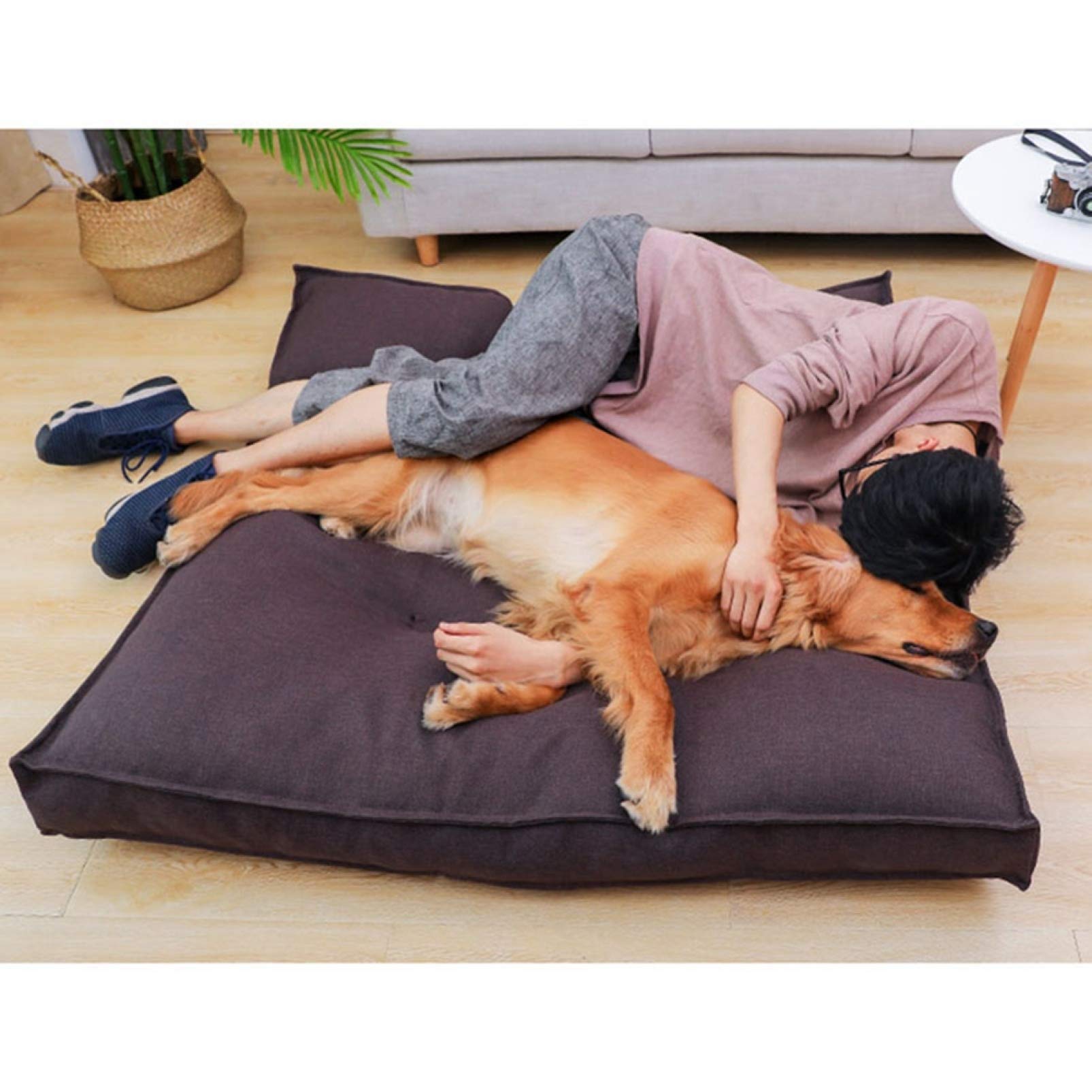 Amazon | ペットベッド L ペットソファ ペット用クッション 高反発