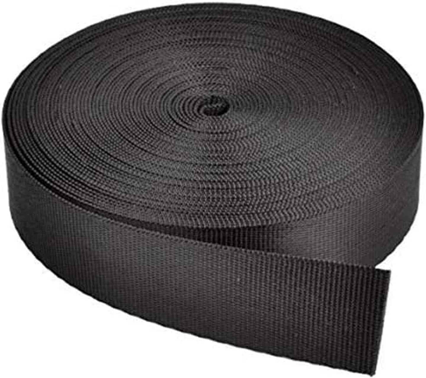 10 Meter Nylon/Canvas Webbing 1-inch Wide for Collars, Leashes, Diving Gear, Sports Gear, Bag Belt, Hiking (10 Meter)