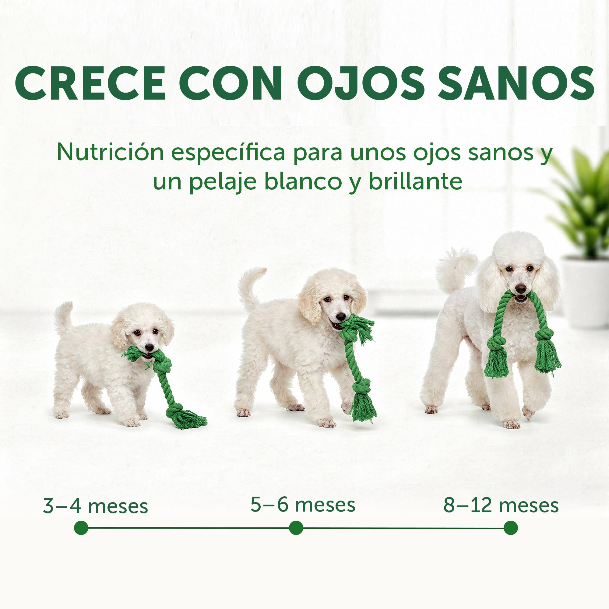 Nature's Protection Superior Care Comida para Perros Blancos Jóvenes - Pienso Hipoalergénico para Perro con Pescado Blanco, Rico en Proteínas, Omega 3 y 6 – Antimanchas Lagrimales, 10 Kg