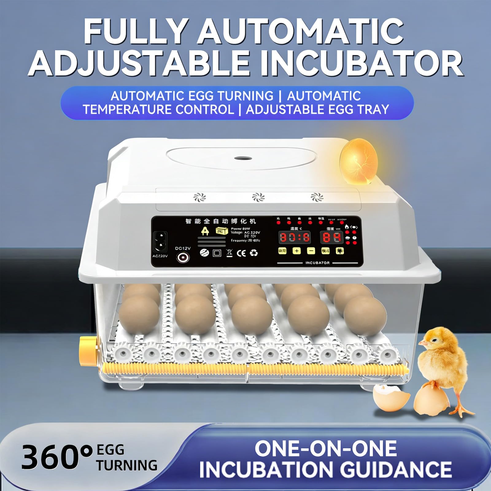 Incubadora De Huevos Con Paletta, Termostato Digitale E Controllo Dell'umidità, Visione Chiara A 360° - Per Far Schiudere Uova Di Pollo, Anatra E Quaglia A Casa, In Fattoria O A Scuola Nine