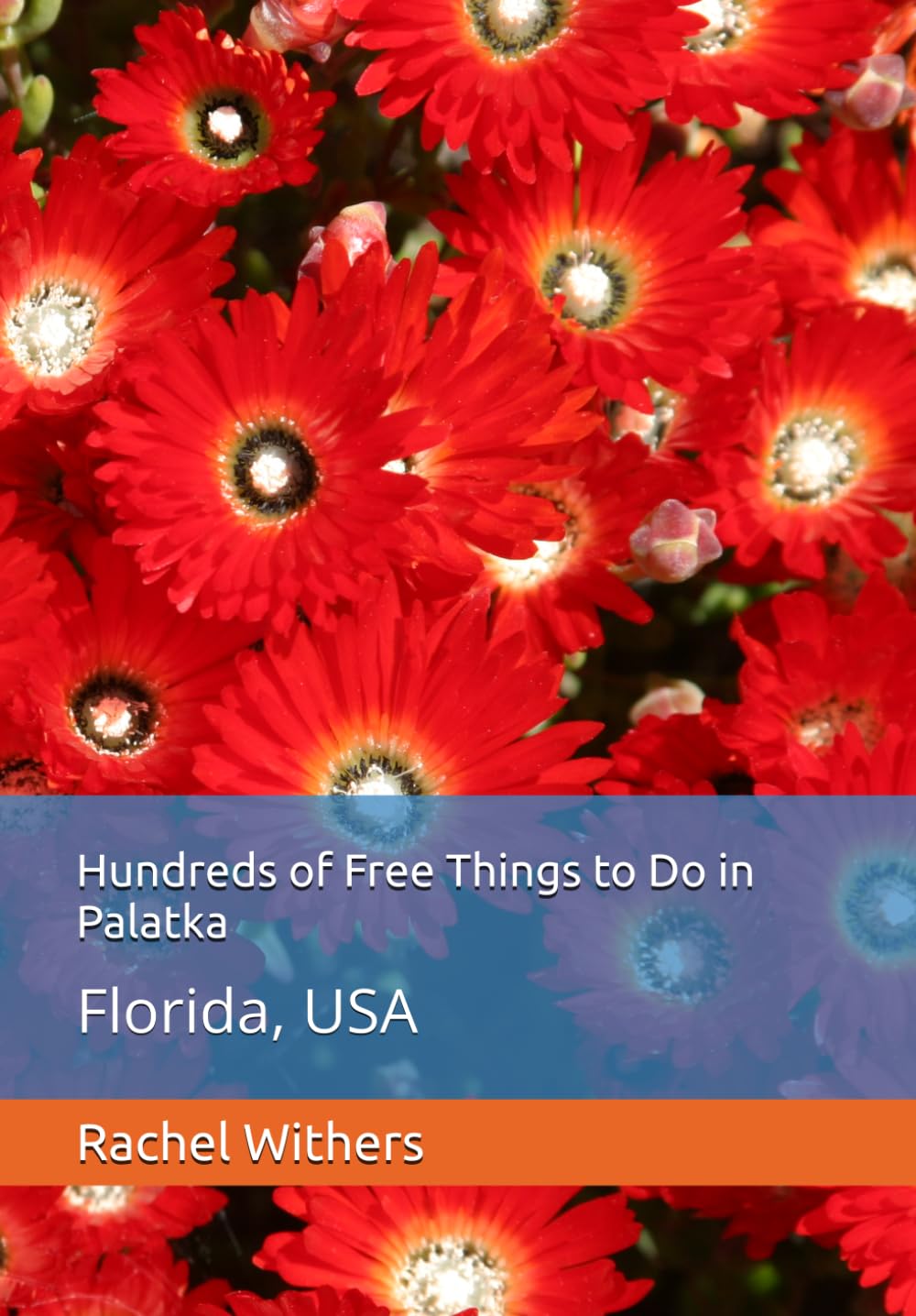 Hundreds of Free Things to Do in Palatka: Florida, USA