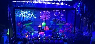 Review Image by Danielle Jolly Danielle Jolly