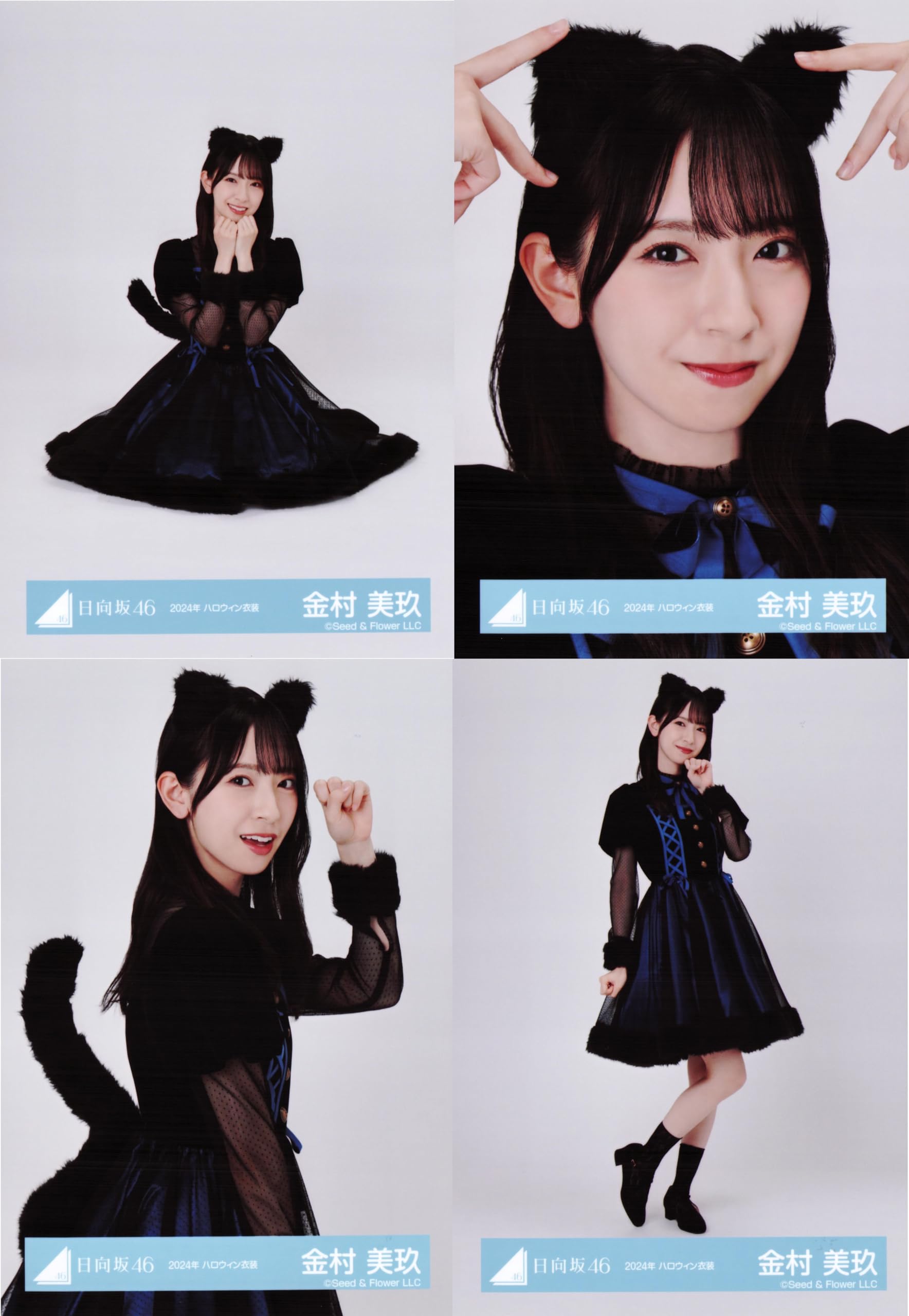 金村美玖 日向坂46 ライブ 年末歌唱 ハロウィン 読書 生写真 16種コンプ 日向坂46 生写真 ライブ 年末歌唱 ハロウィン 読書 16種コンプ 金村