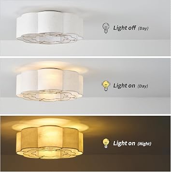 20 Low Profile Ceiling Fan with Light, Caged Flush Mount Ceiling Fan with Light Remote Control, Boho Bladeless with 6 Speeds for Bedroom, Nursery, Living Room.