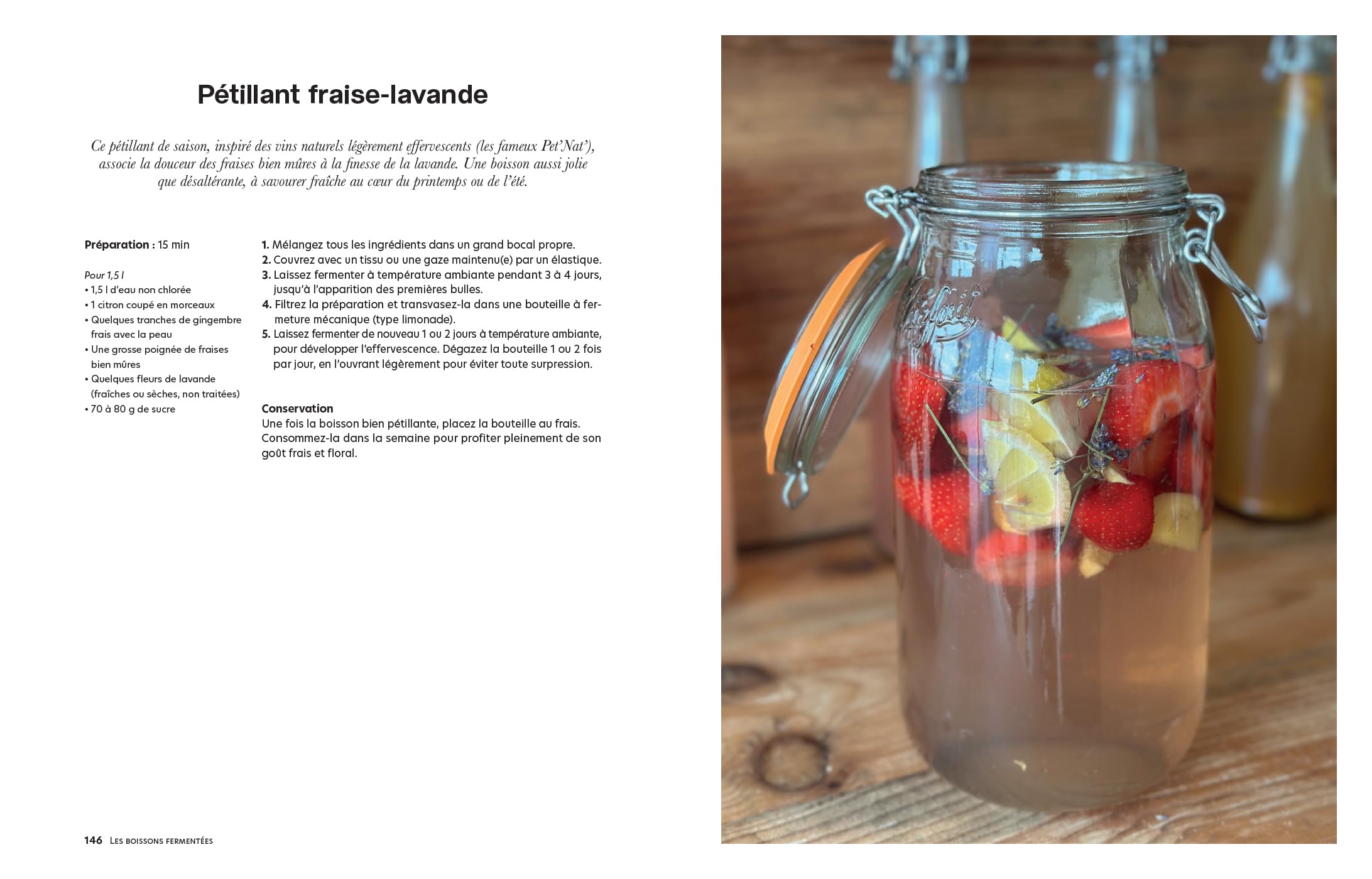 Fermentation à la maison: Légumes, fruits, boissons et pains - 100 recettes pour choyer son microbiote