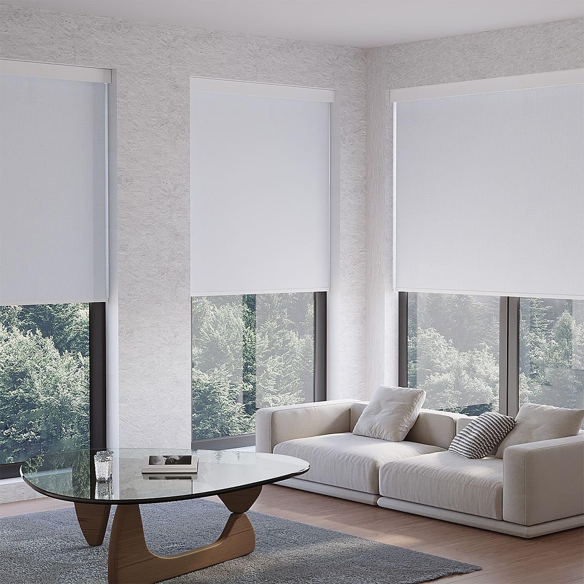 Cordless Roller Shades for Windows Blackout Options,UV Protection for Home/Office,No Cord Safe for Kids, Easy Install Window Blinds 22 * 36（Vinyl White）