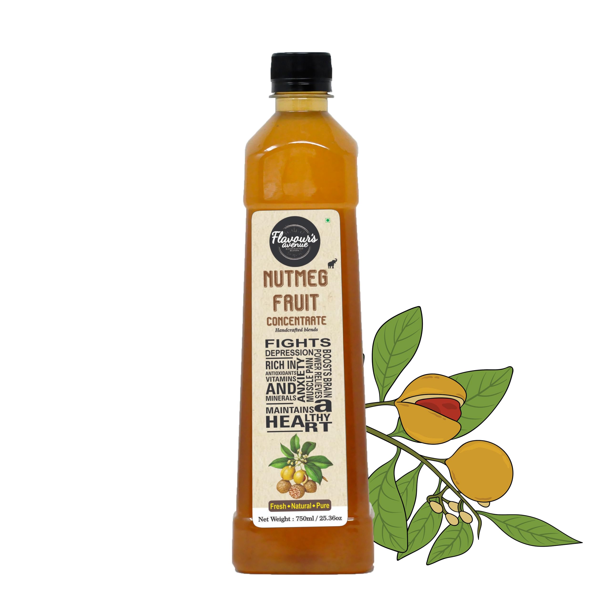 FLAVOURS AVENUE - Nutmeg Fruit Concentrate/Jathika - Real Ingredients, Makes 10-15 Drinks Concentrate for Cocktails, Mocktails - 750ml / 25.36oz-image-16