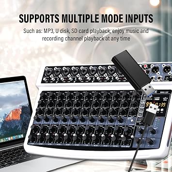 BOMGE 12 Channel Professional Audio Mixer, Bluetooth Studio Mixer with USB, 48V Power, XLR/RCA Inputs, 99 DSP Effects For Professional and Beginners (12F-W)
