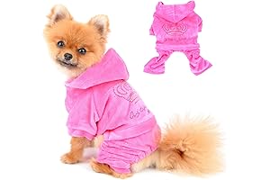 Legally Blonde Dog Costume