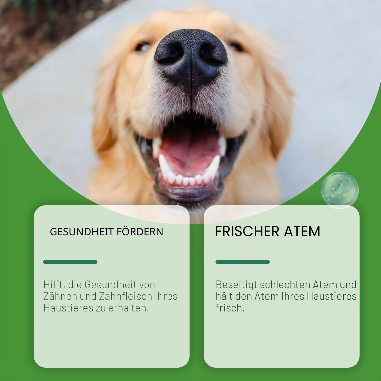 Mydelia - Hundezahn-Pulver Hundezahnpulver – Natürliche, effektive Formel für frischen Atem, sanfte Zahnpflege, tragbares Pulver, sicherer Mix, Hundepflegezubehör