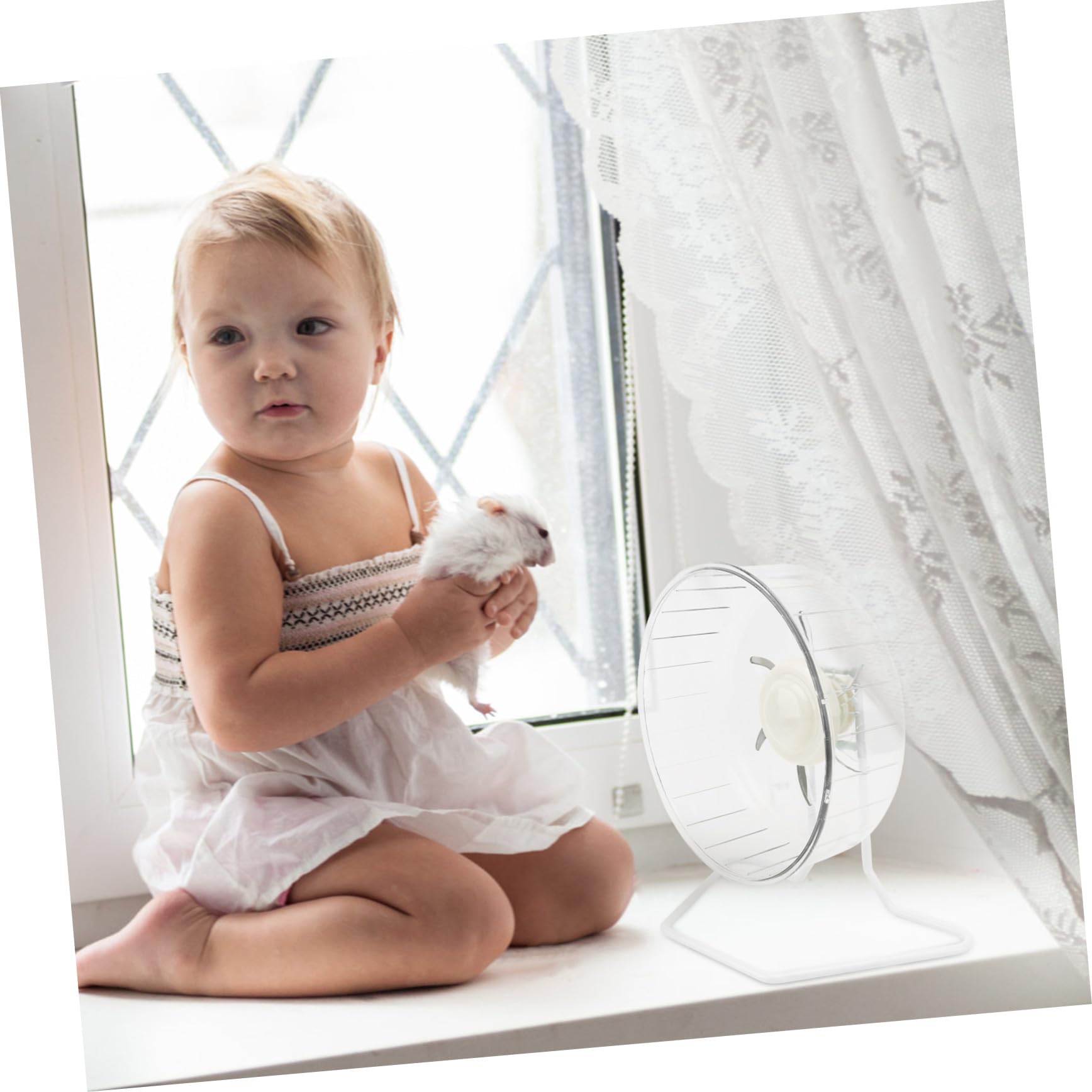 Roue d'exercice pour Hamster Ultra Silencieuse en Plastique et Fer